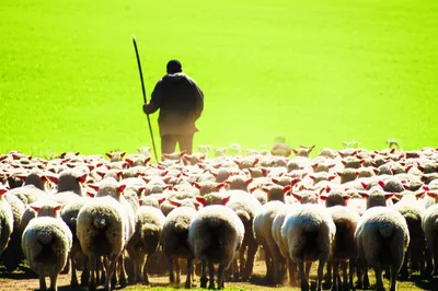 Illustration led - Image 1