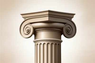 Illustration echinus - Image 1