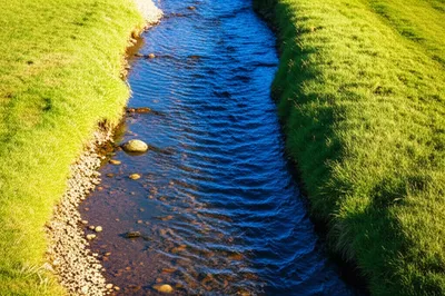 Illustration brook - Image 1