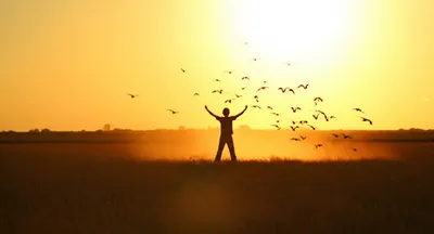 Illustration driven - Image 1