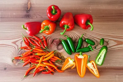 Illustration capsicum