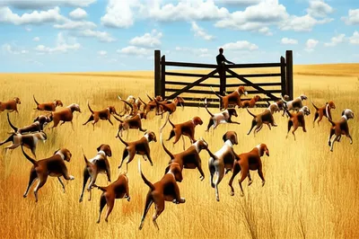 Illustration relayed - Image 1