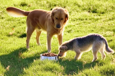 Illustration generosity - Image 1