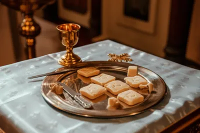 Illustration prothesis - Image 1