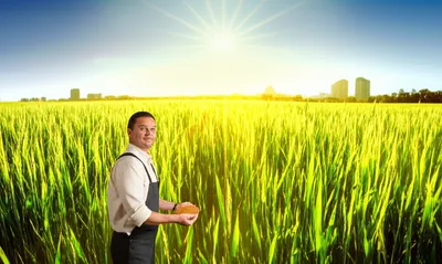 Illustration long - Image 1