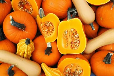 Illustration pumpkin - Image 1