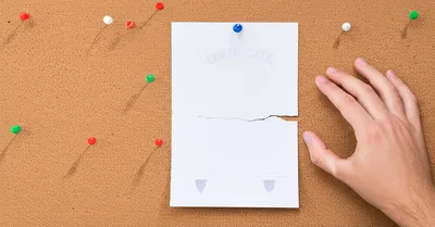 Illustration retaken - Image 1