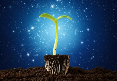 Illustration more - Image 1