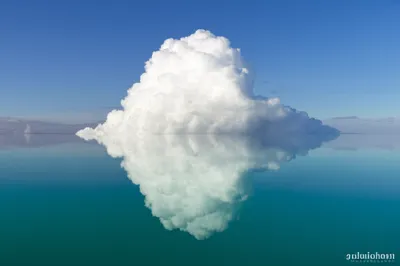 Illustration softer - Image 1