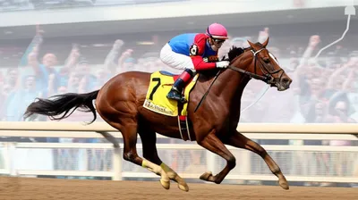 Illustration steamer - Image 1