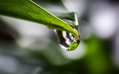 Illustration drips - Image 1