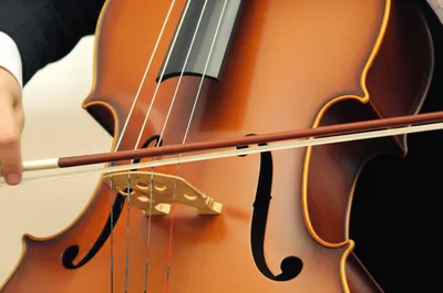 Illustration tailles - Image 1