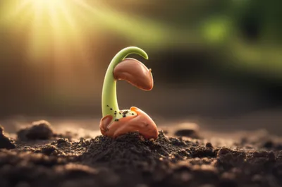 Illustration essentials - Image 1