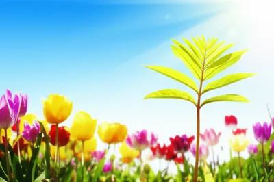 Illustration anymore - Image 1