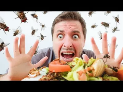 Illustration repel - Image 1