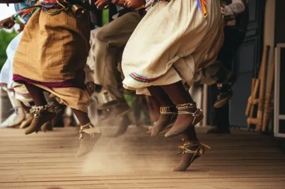 Illustration bucks - Image 1