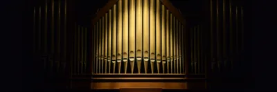 Illustration verset - Image 1