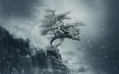 Illustration tough - Image 1