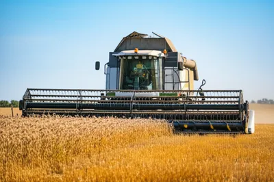 Illustration combines