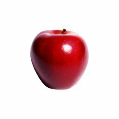 Illustration centred - Image 1