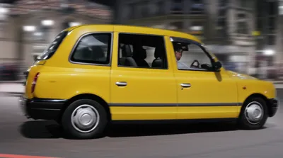 Illustration goose - Image 1