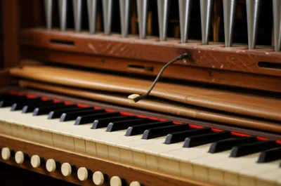 Illustration telltale - Image 1