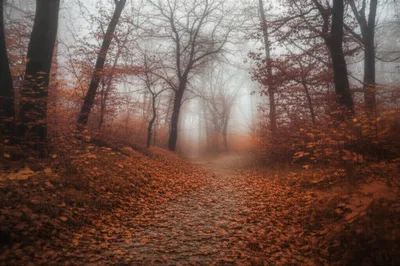 Illustration backend - Image 1