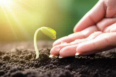 Illustration tending - Image 1