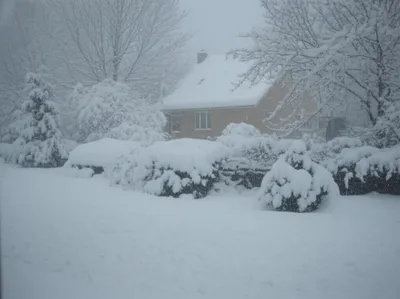 Illustration pitch - Image 1