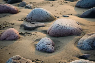 Illustration minima - Image 1