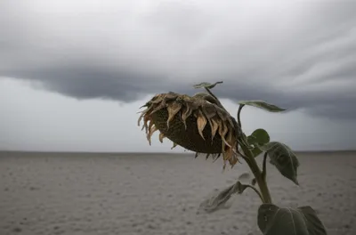 Illustration chills - Image 1