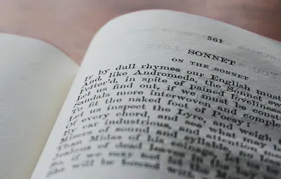 Illustration sonnets - Image 2