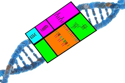 Illustration cassette - Image 1