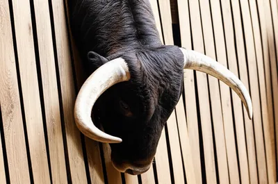 Illustration gores - Image 1