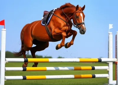 Illustration top - Image 1