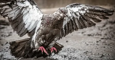 Illustration fouler - Image 1