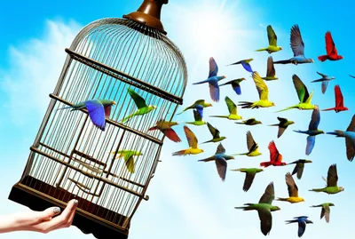 Illustration let - Image 1