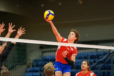 Illustration attacks - Image 1