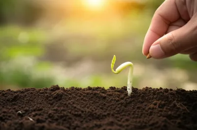 Illustration meaning - Image 1