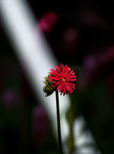 Illustration concentrations