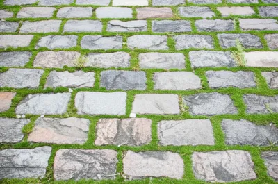 Illustration flagged - Image 1