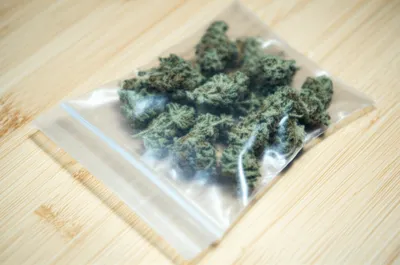 Illustration lid - Image 1