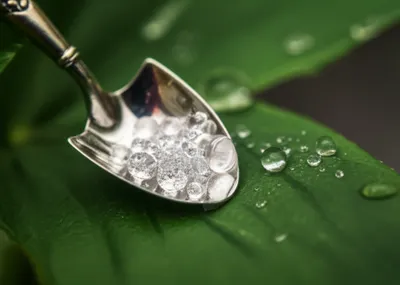 Illustration spittle - Image 1