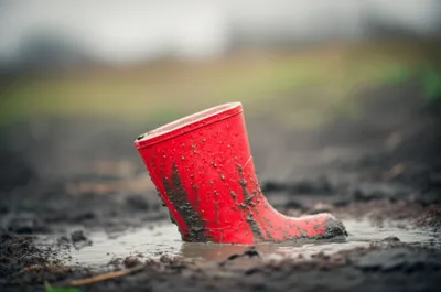 Illustration bemired