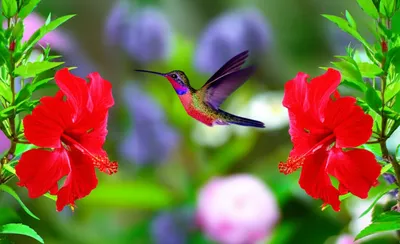 Illustration flits - Image 1