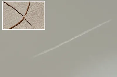 Illustration seam - Image 1