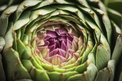 Illustration choke - Image 1