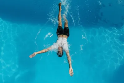 Illustration dowse - Image 1