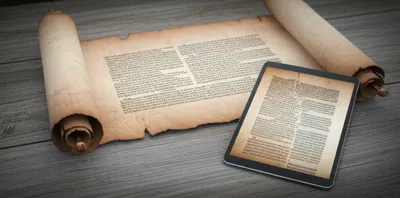 Illustration watermark - Image 1