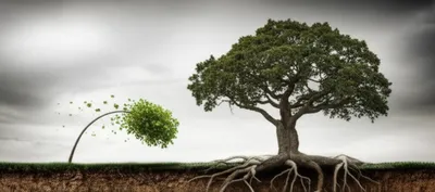 Illustration sways - Image 1